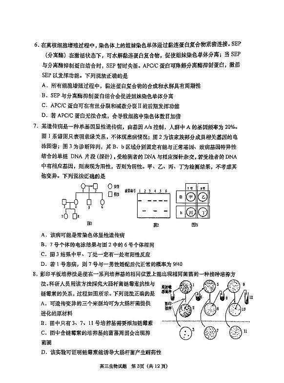 生物试题第3页