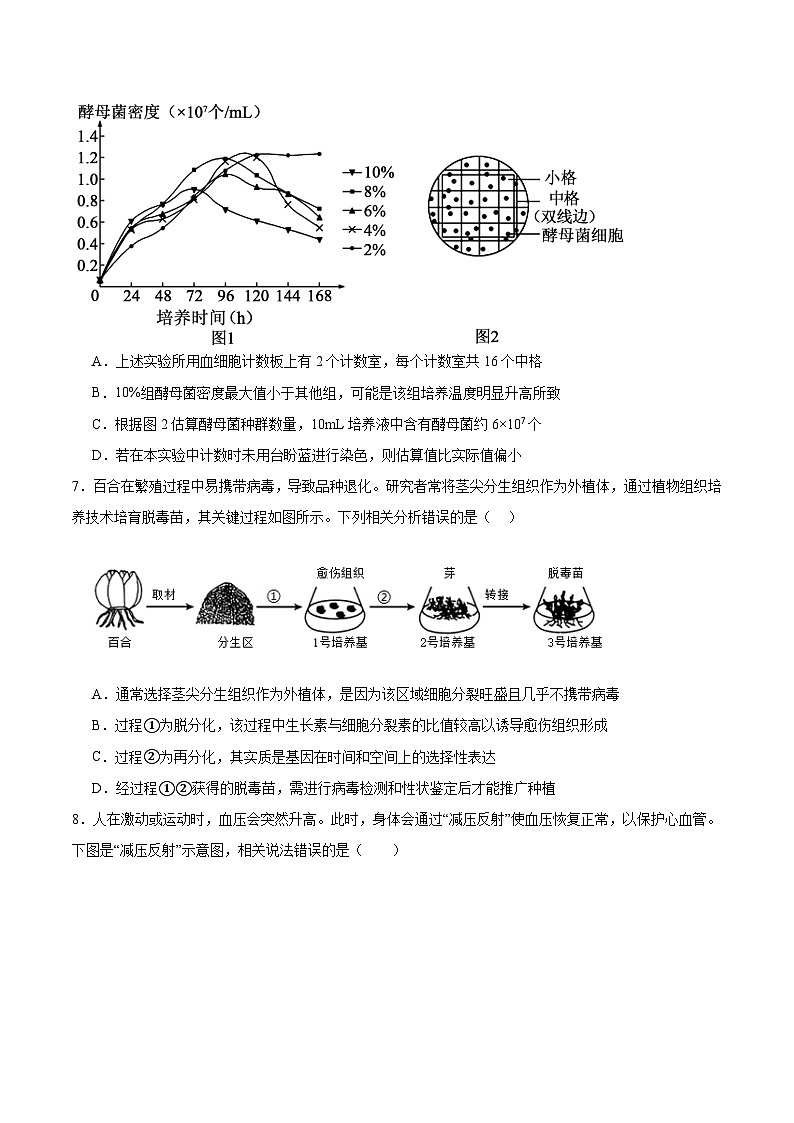 四川省字节精准教育联盟2025-2026学年度高三上期1月期末考试生物试卷（Word版附答案）第3页