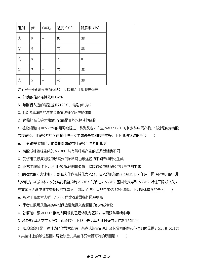 贵州省毕节市2026届高三上学期第一次适应性考试生物试卷（Word版附答案）第2页