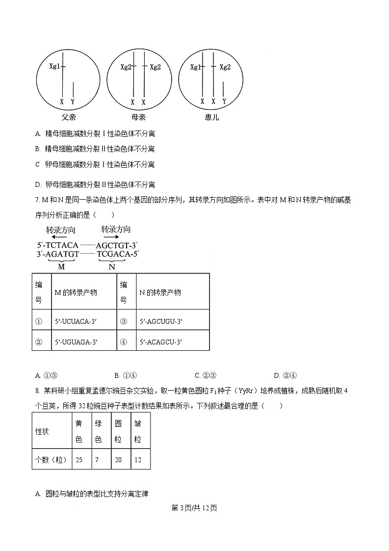贵州省毕节市2026届高三上学期第一次适应性考试生物试卷（Word版附答案）第3页