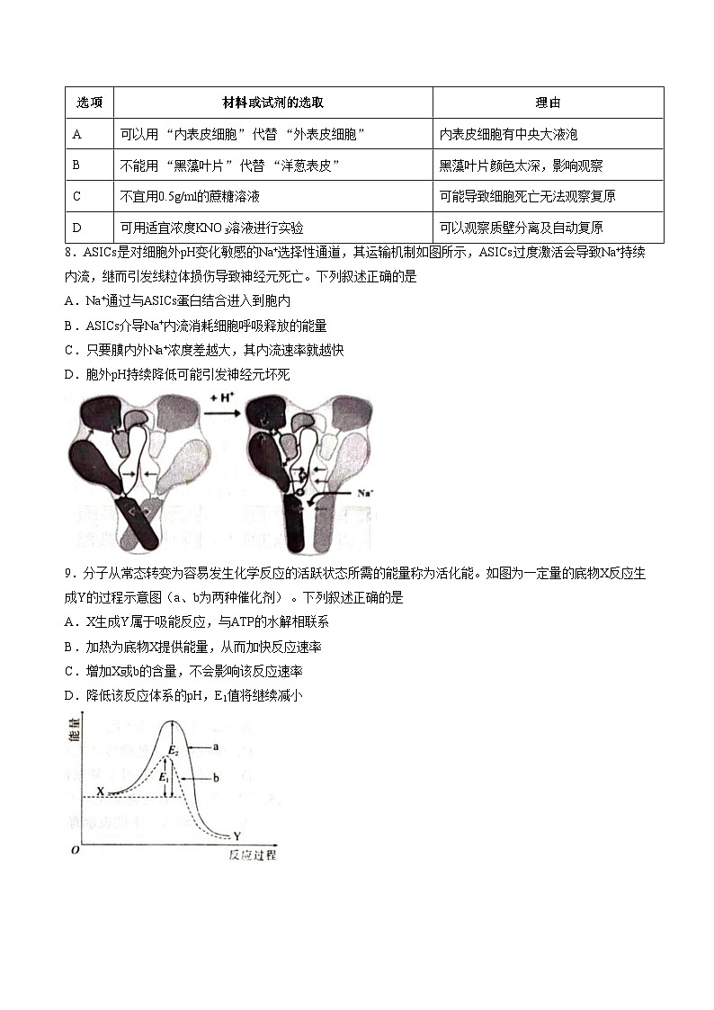 湖南省岳阳市2025_2026学年高一上学期期末生物试卷（文字版，含答案）第3页