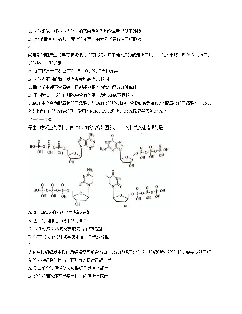 吉林省四平市实验中学2025_2026学年高三上学期第三次月考生物试卷（文字版，含答案）第2页