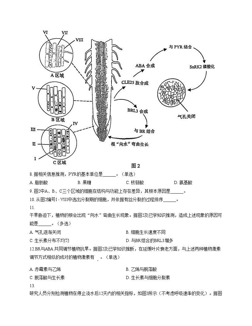 上海市虹口区2025—2026学年高三上学期学习能力诊断测试生物试题（文字版，含答案）第3页