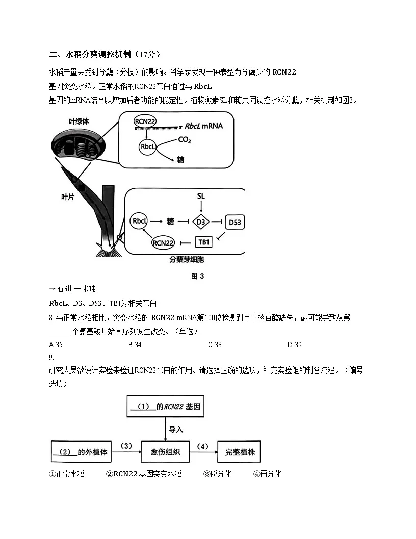 上海市松江区2025_2026学年高三上学期12月期末质量监控生物试题（文字版，含答案）第3页