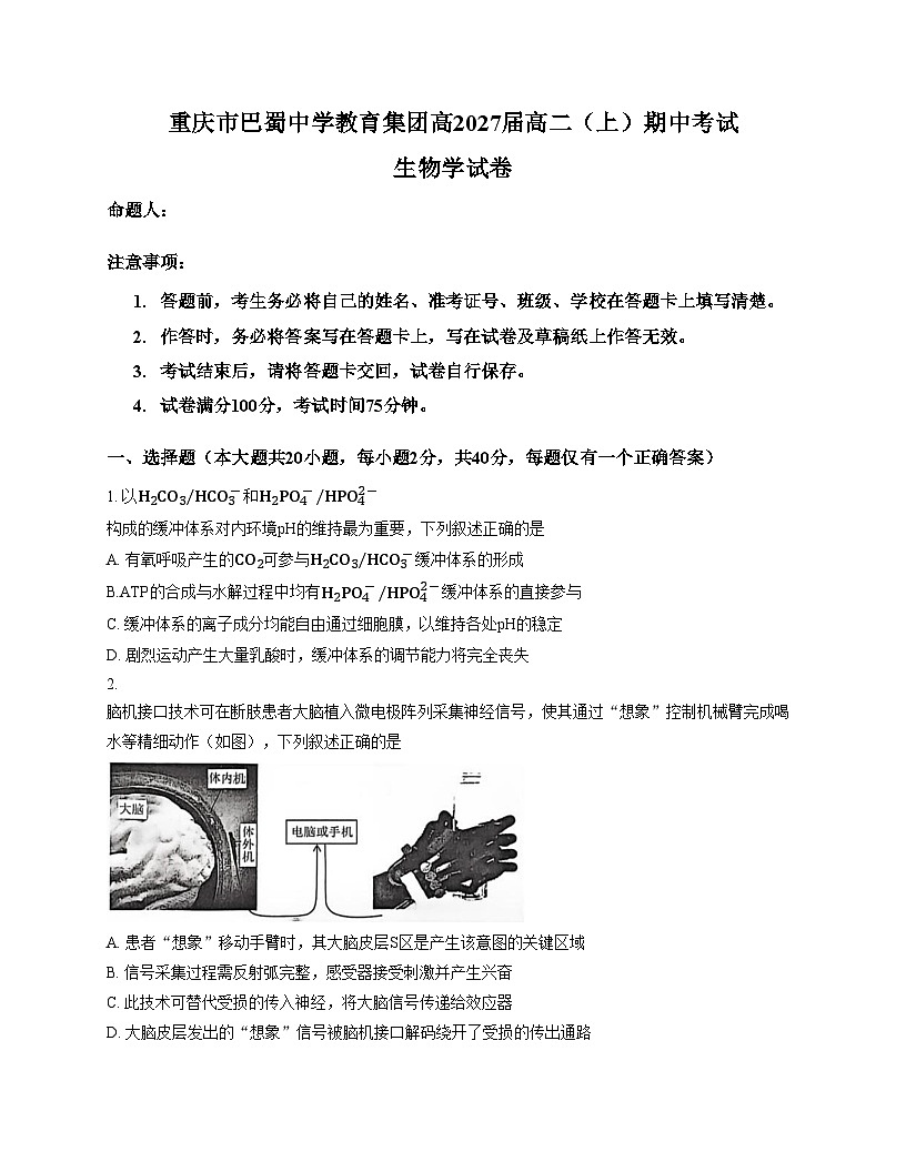 重庆市巴蜀中学2025_2026学年高二上学期期中考试生物试题（文字版，含答案）第1页