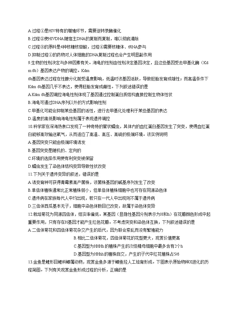 河北省邢台市卓越联盟2025_2026学年高三上学期12月期中生物试题（文字版，含答案）第3页