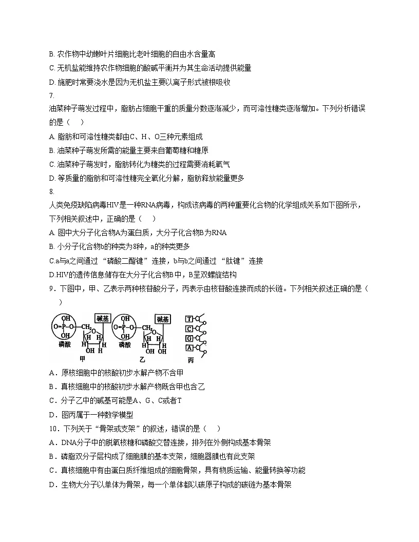 广东实验中学2025_2026学年高一上学期期中模块考试生物试卷（文字版，含答案）第3页