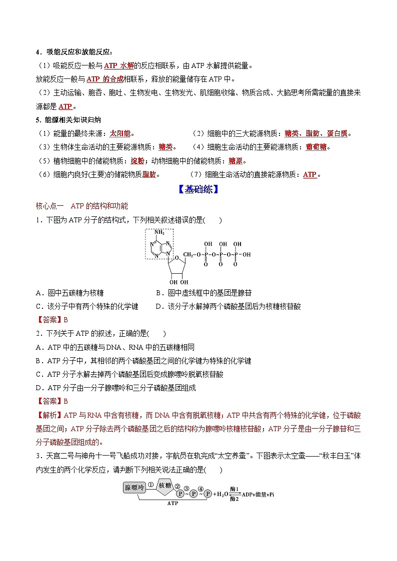 5.2 细胞的能量“货币”ATP（课后练习）--2025-2026学年高一上学期《生物》（人教版）必修1第2页