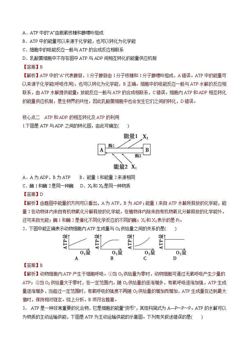 5.2 细胞的能量“货币”ATP（课后练习）--2025-2026学年高一上学期《生物》（人教版）必修1第3页