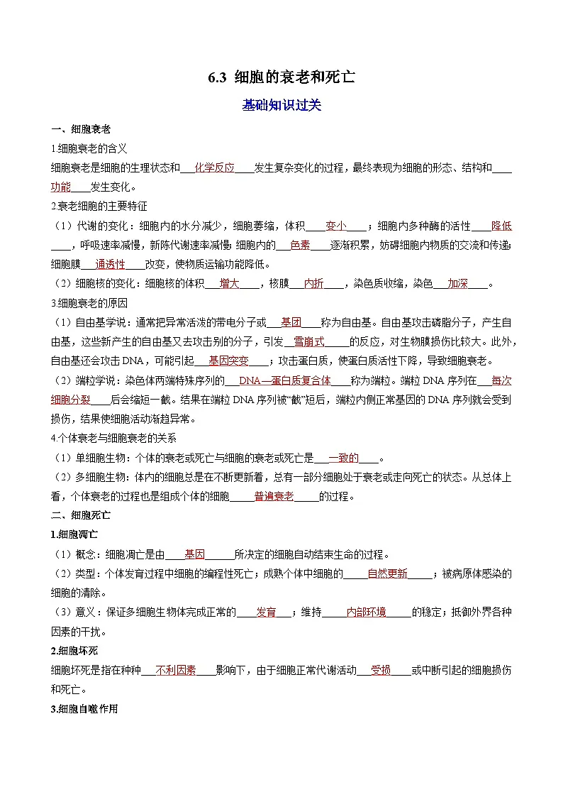 6.3 细胞的衰老和死亡（课后练习）---2025-2026学年高一上学期《生物》（人教版）必修1第1页