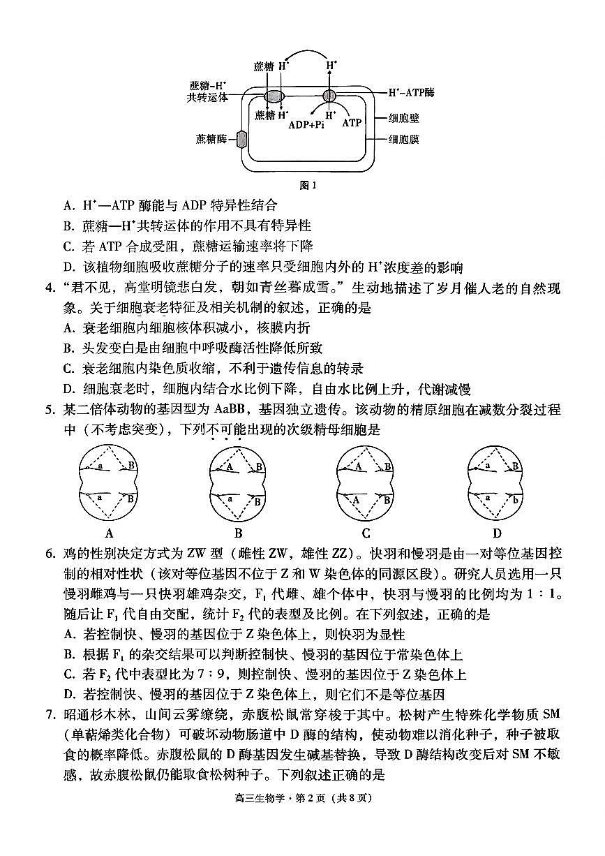 云南省昭通市2026届高中毕业生模拟考试生物第2页