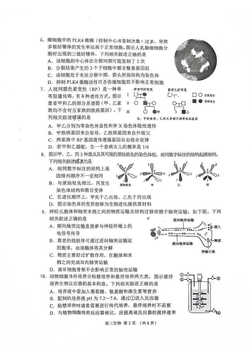 江苏省苏州市2025-2026学年高三上学期期末考试生物试卷（含答案）第2页