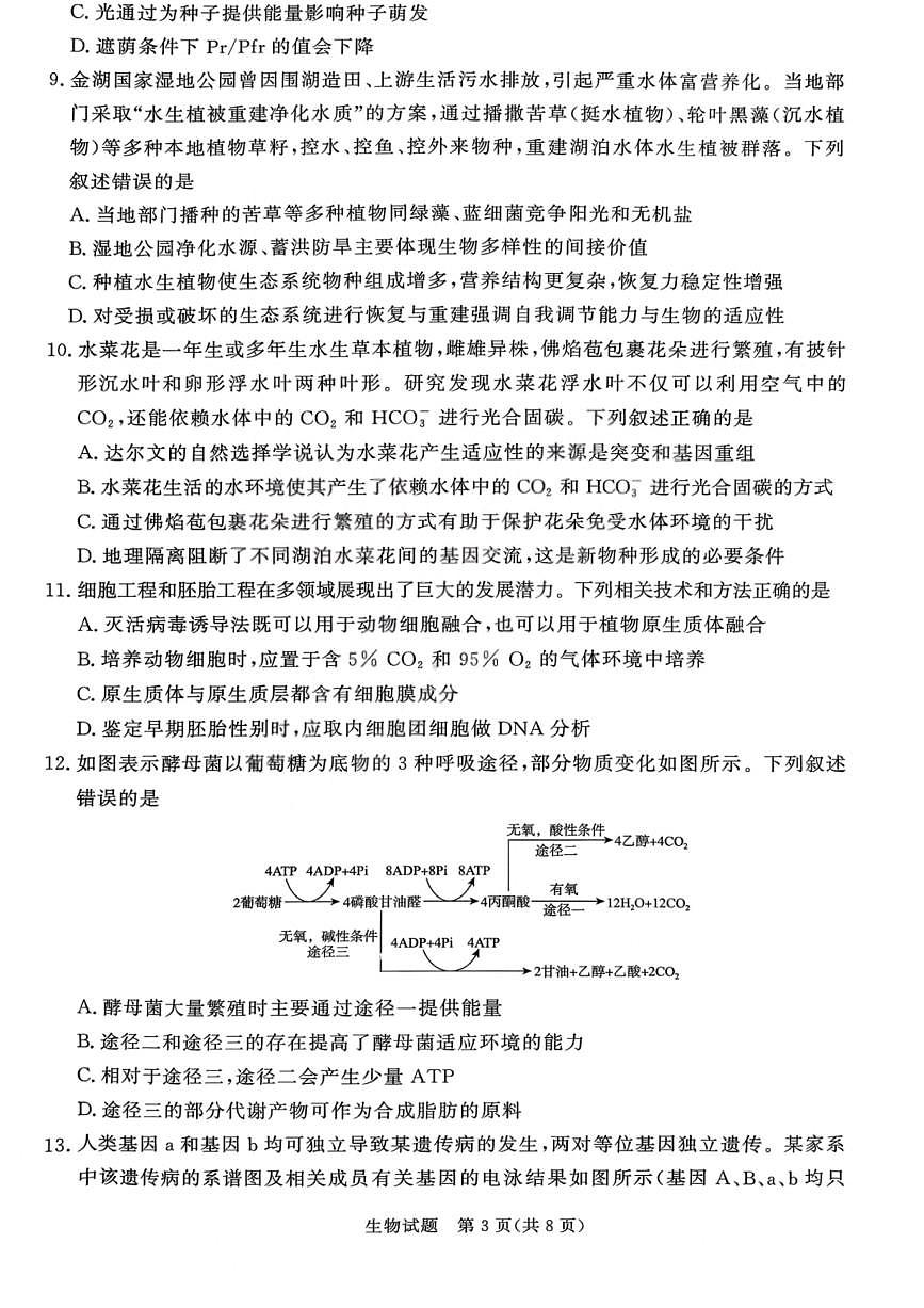 生物试卷-青桐鸣高三联考202602第2页