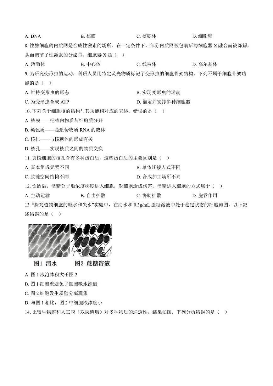 2025-2026学年北京市石景山区上学期期末考试高一生物学试卷（含答案）第2页