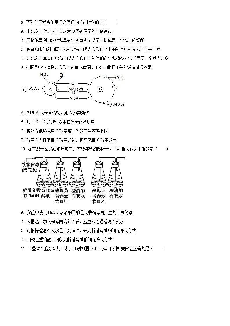 江苏省徐州市2025-2026学年度第一学期期末抽测高一生物试题（试卷+解析）第3页