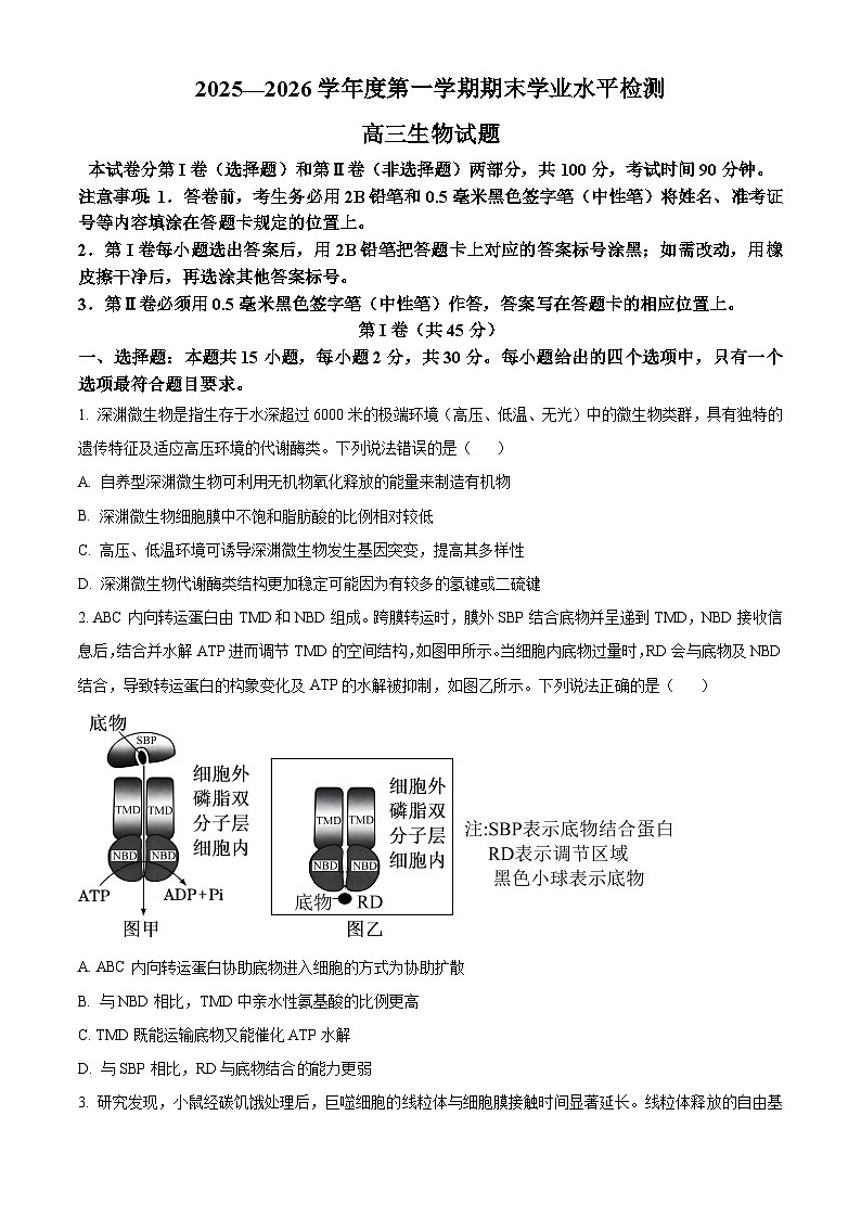 山东青岛市2025-2026学年度第一学期期末学业水平检测高三生物试题（试卷+解析）第1页