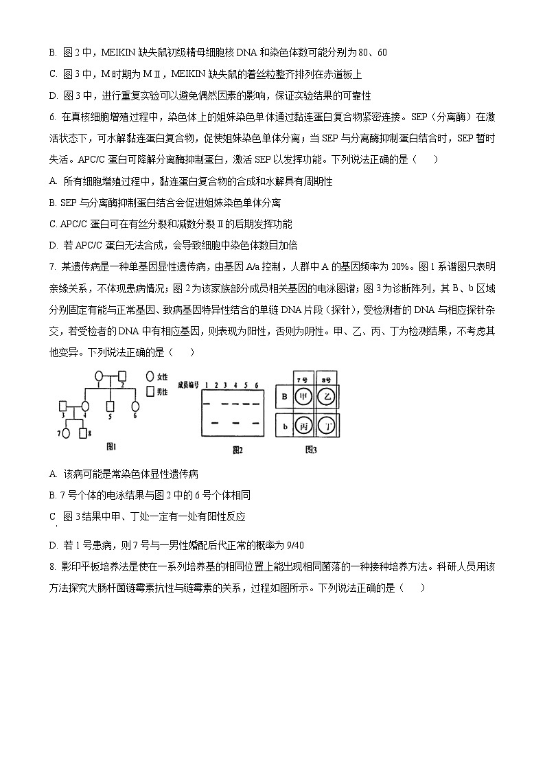 山东青岛市2025-2026学年度第一学期期末学业水平检测高三生物试题（试卷+解析）第3页