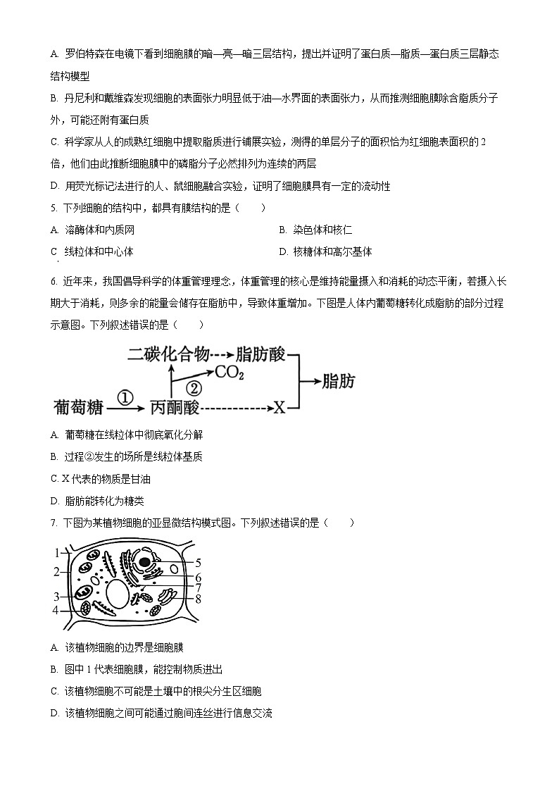 辽宁省辽阳市2025-2026学年高一上学期1月期末生物试题（试卷+解析）第2页