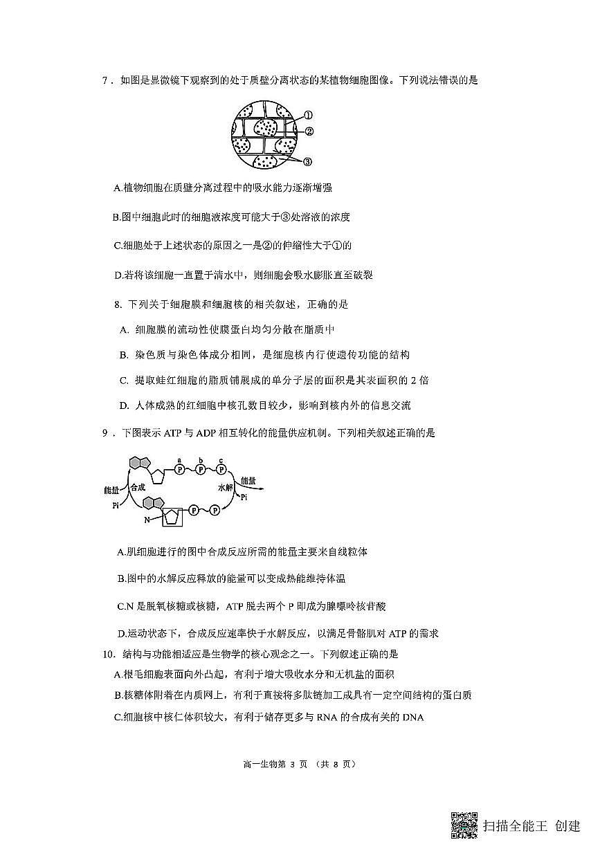 山西省忻州市2025-2026学年第一学期高一期末考试生物试题第3页