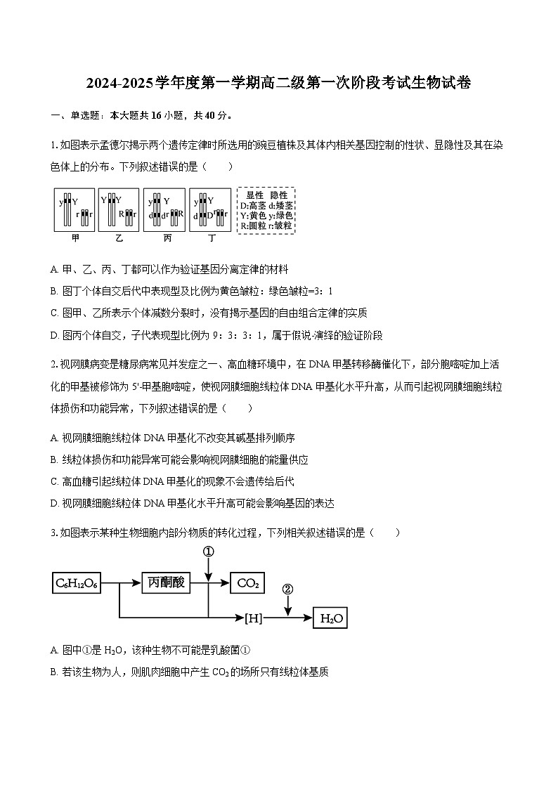 广东省揭阳市惠来县第一中学2024-2025学年高二上学期第一次阶段考试生物试题第1页