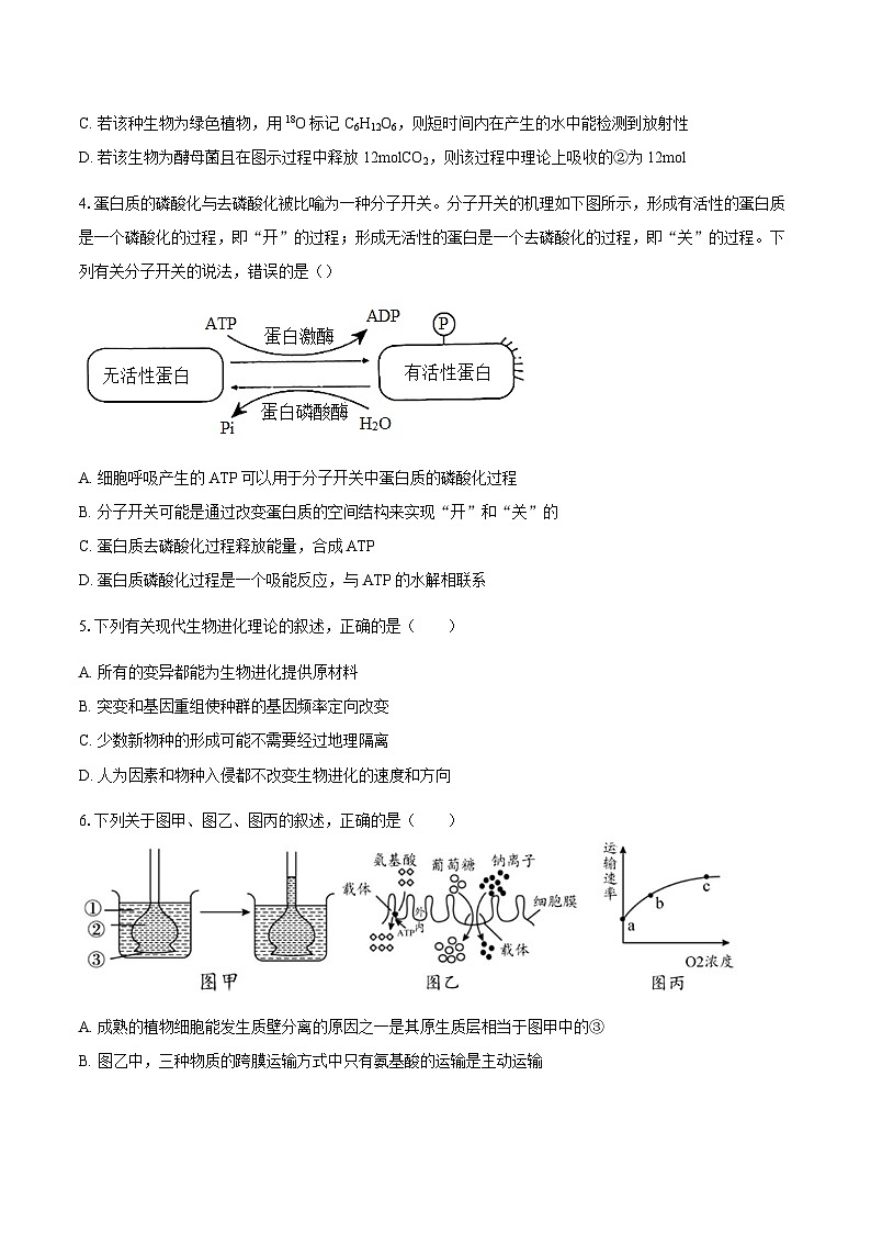 广东省揭阳市惠来县第一中学2024-2025学年高二上学期第一次阶段考试生物试题第2页
