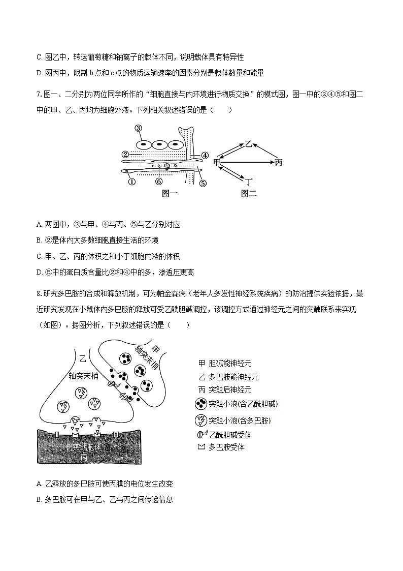 广东省揭阳市惠来县第一中学2024-2025学年高二上学期第一次阶段考试生物试题第3页