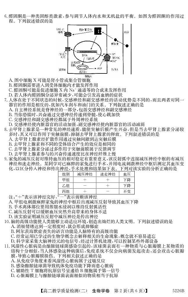 广东省八校联盟2024-2025学年高二上学期教学质量检测（二）生物试题第2页