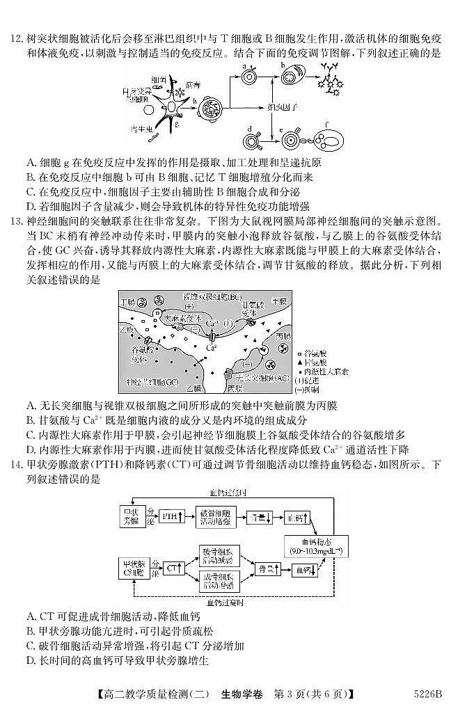 广东省八校联盟2024-2025学年高二上学期教学质量检测（二）生物试题第3页