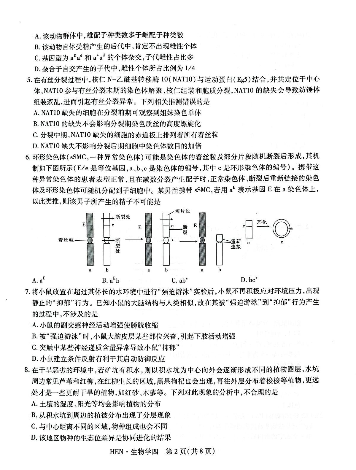 2025届河南省名校学术联盟高三下学期模拟冲刺生物试题（四）第2页