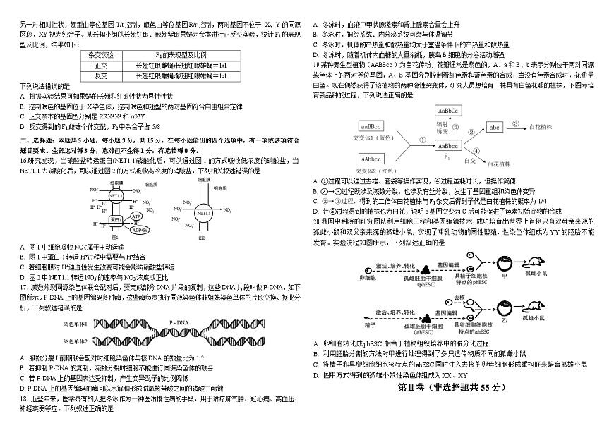 生物二模B4第3页