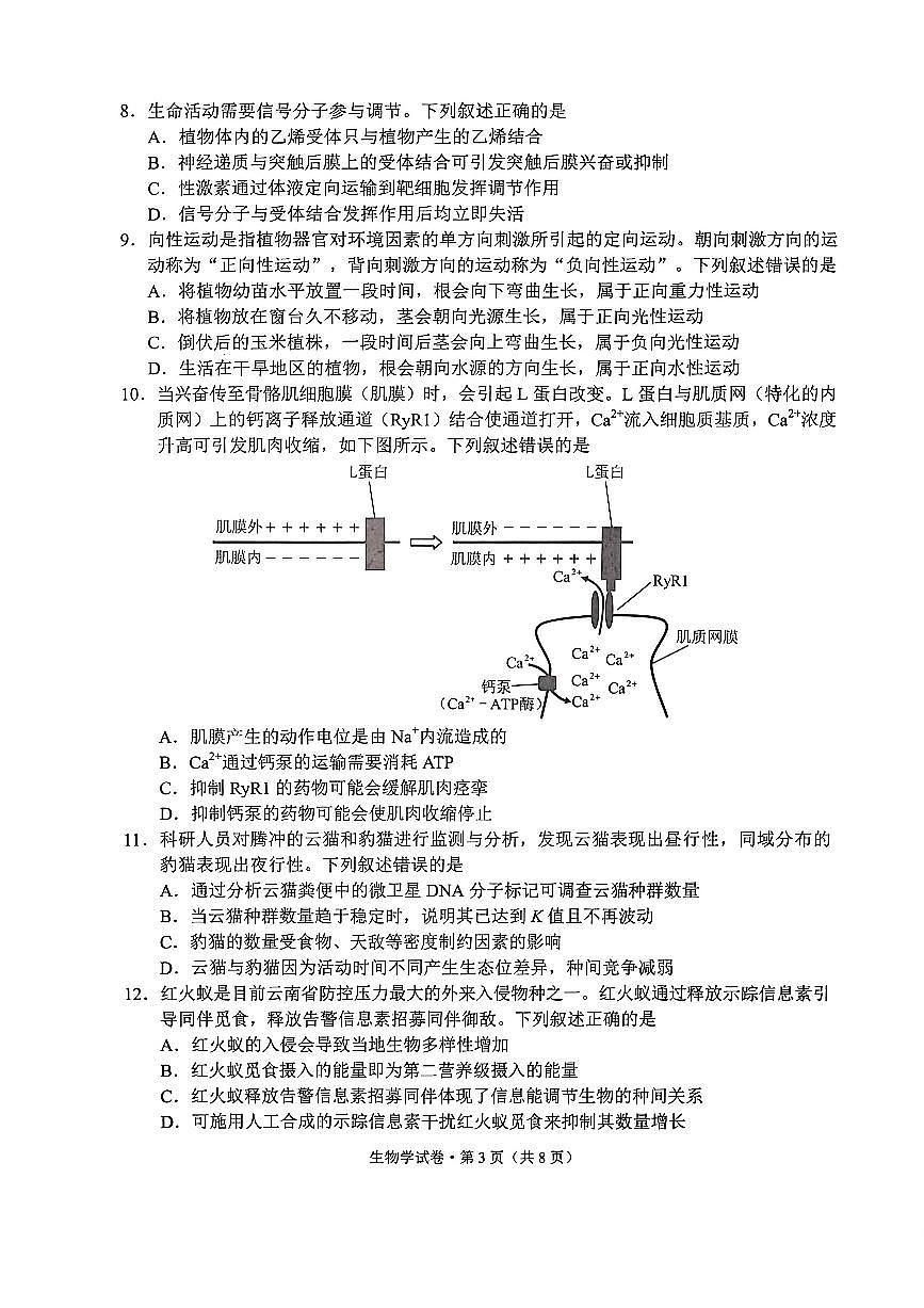 云南省昆明市2026届上学期高三一模摸底诊断测试 生物试题+答案第3页