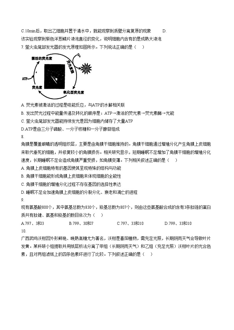 福建厦门双十中学2025_2026学年第一学期期末考试高一生物试题（文字版，含答案）第3页
