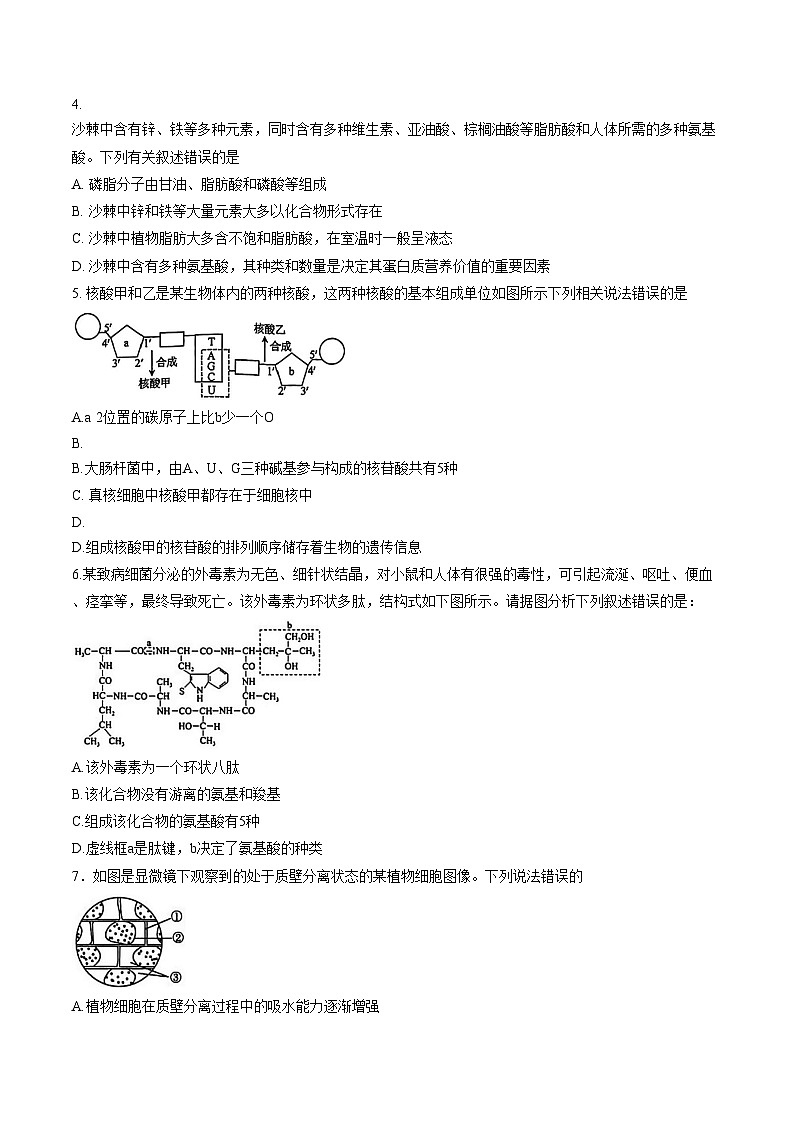 山西省忻州市2025_2026学年第一学期高一期末考试生物试题（文字版，含答案）第2页