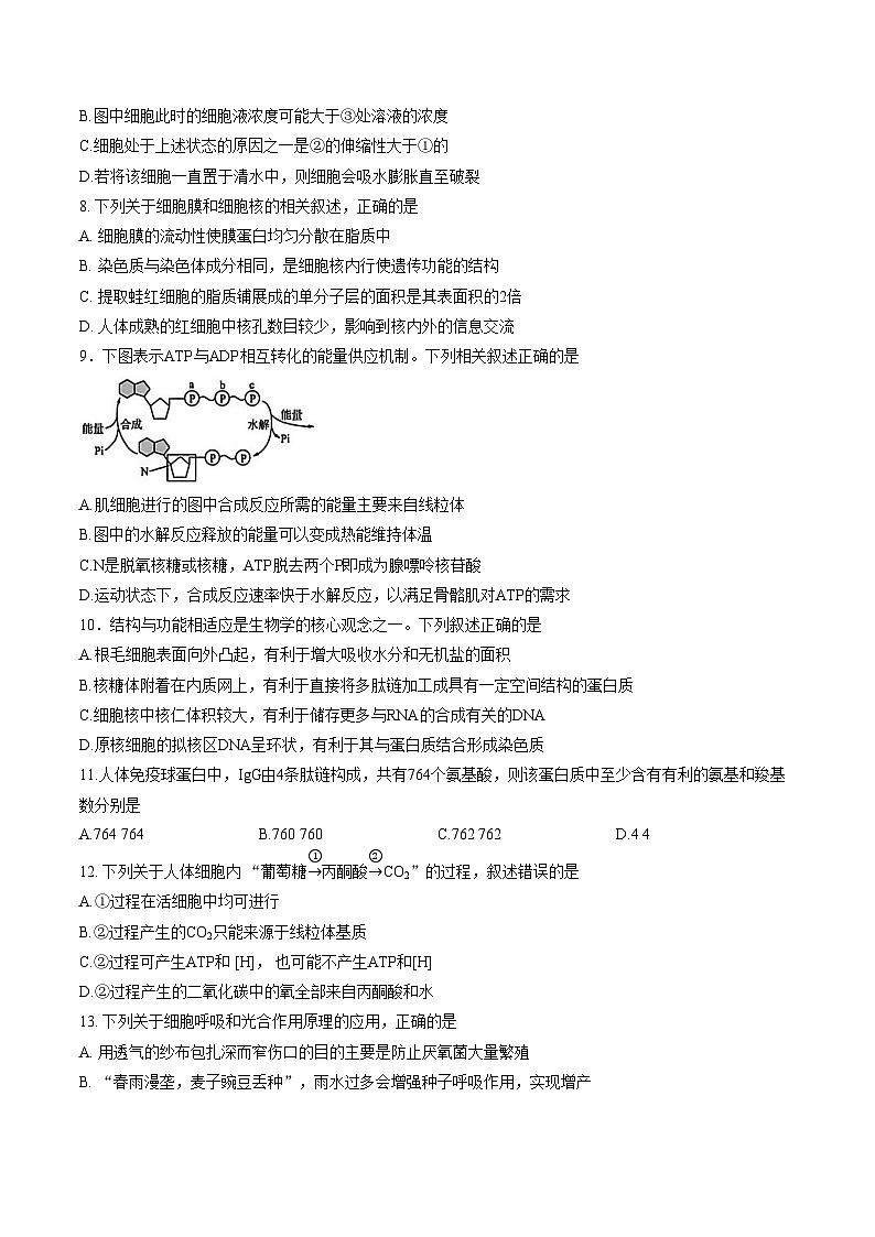 山西省忻州市2025_2026学年第一学期高一期末考试生物试题（文字版，含答案）第3页