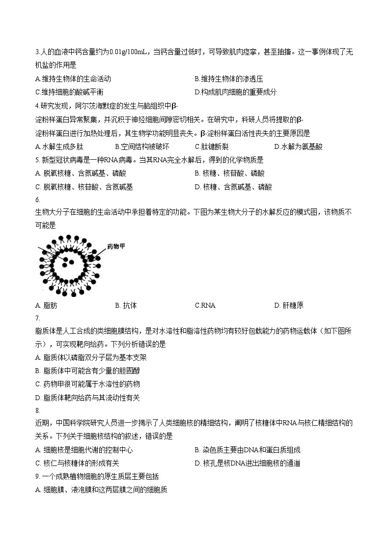 四川省绵阳市2025_2026学年高一上学期期末教学质量测试生物学试卷（扫描版，含答案）第2页
