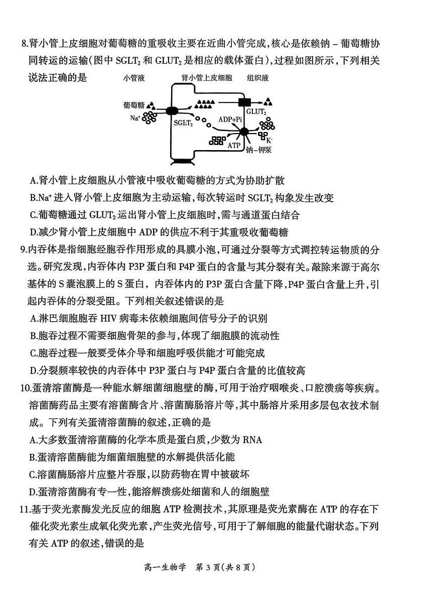 江西吉安市2025-2026学年高一上学期期末教学质量检测生物学试题含答案第3页