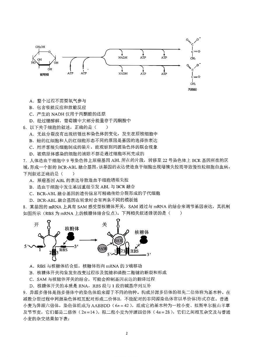 生物试题第2页