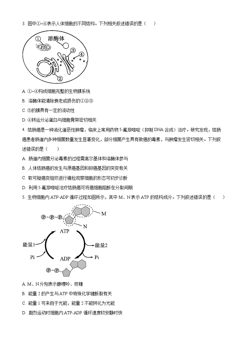 甘肃省陇南市成县联考2025-2026学年高三上学期1月期末生物试题（试卷+解析）第2页