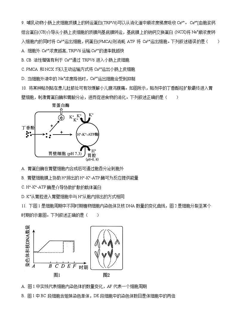 甘肃省陇南市西和县期末联考2025-2026学年高一上学期1月期末生物试题（试卷+解析）第3页