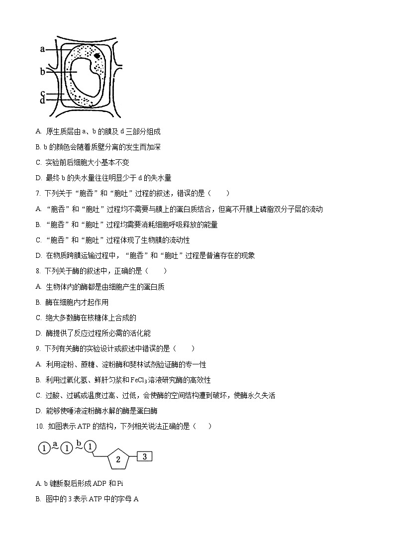 新疆喀什地区莎车县2025-2026学年高一上学期期末考试生物试卷（试卷+解析）第2页