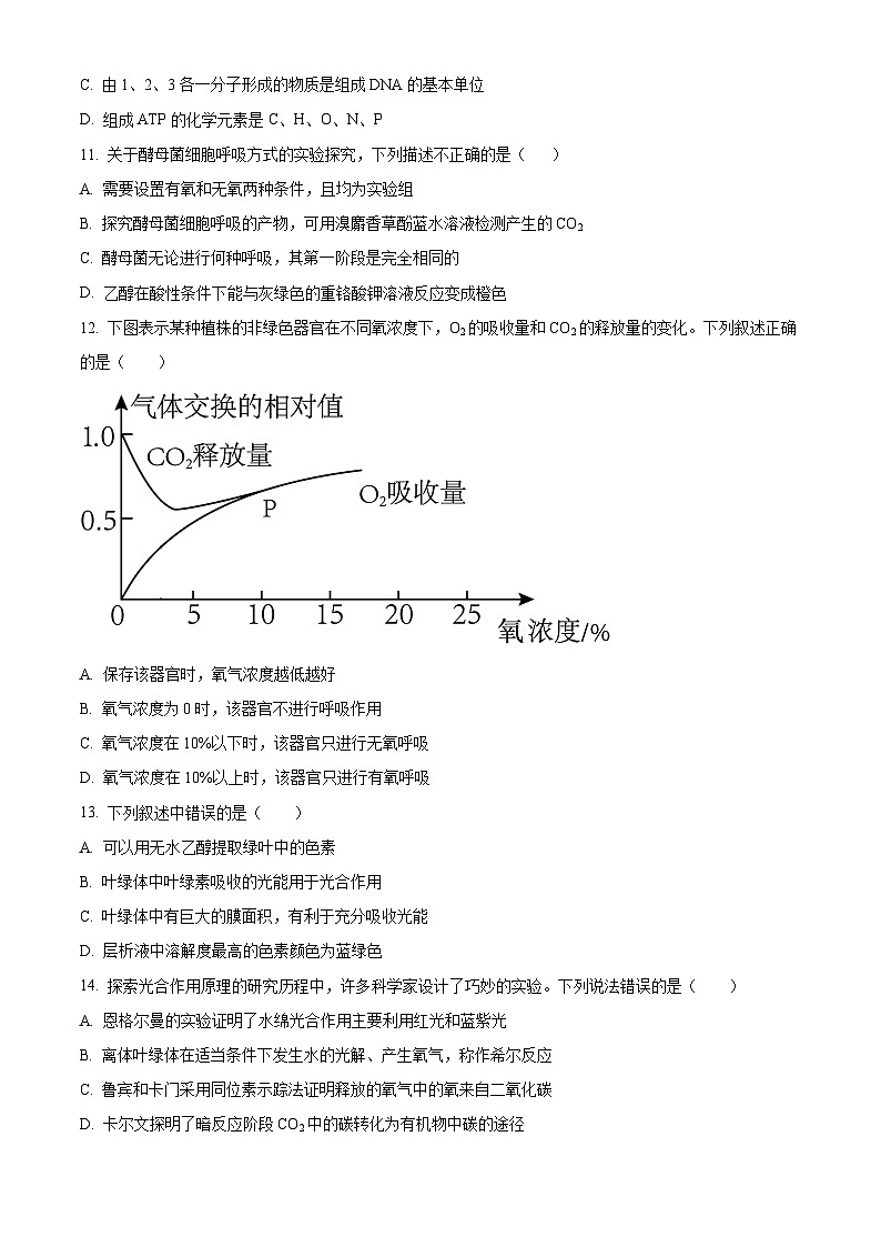 新疆喀什地区莎车县2025-2026学年高一上学期期末考试生物试卷（试卷+解析）第3页