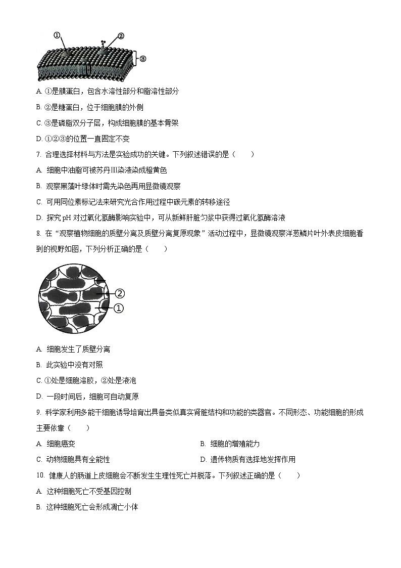 浙江绍兴市2025-2026学年第一学期高中期末调测高一生物试题（试卷+解析）第2页
