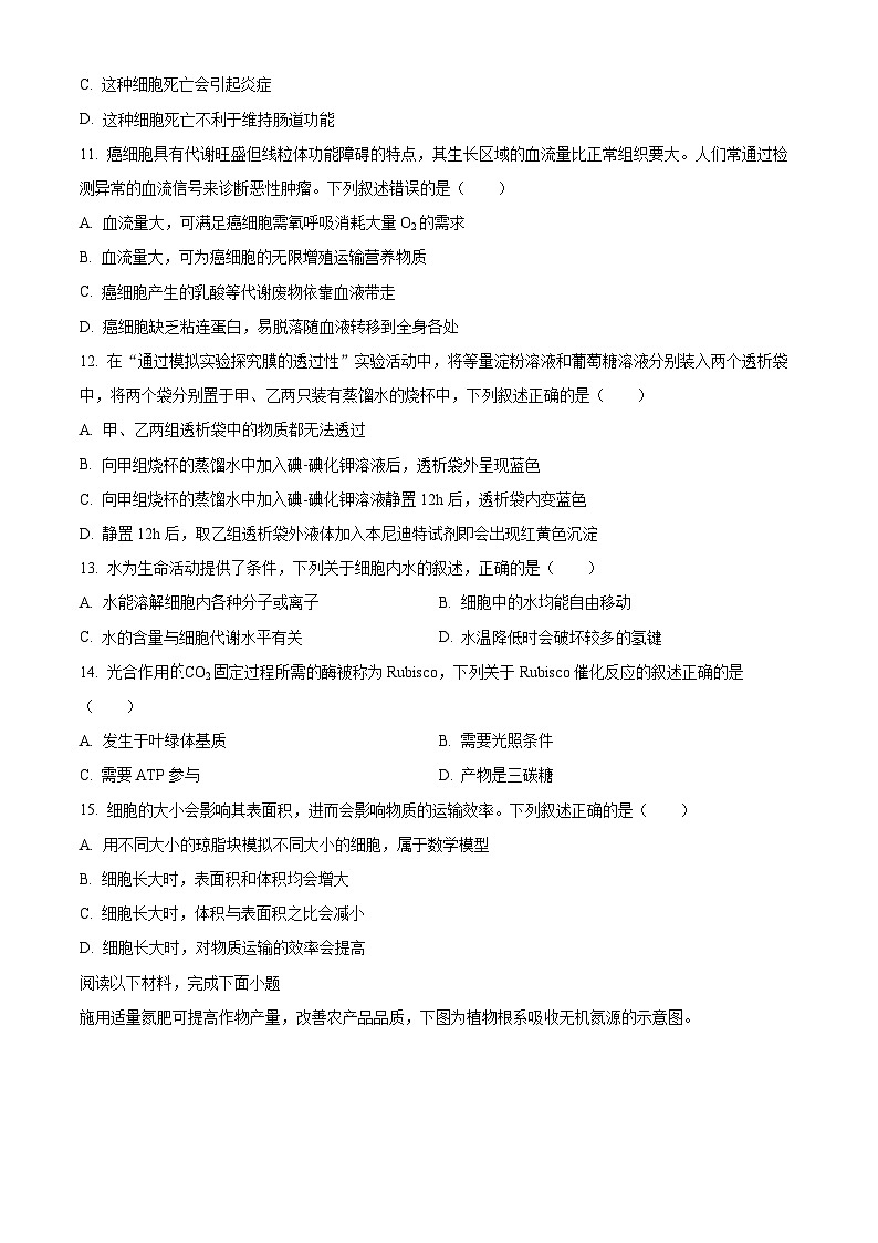 浙江绍兴市2025-2026学年第一学期高中期末调测高一生物试题（试卷+解析）第3页