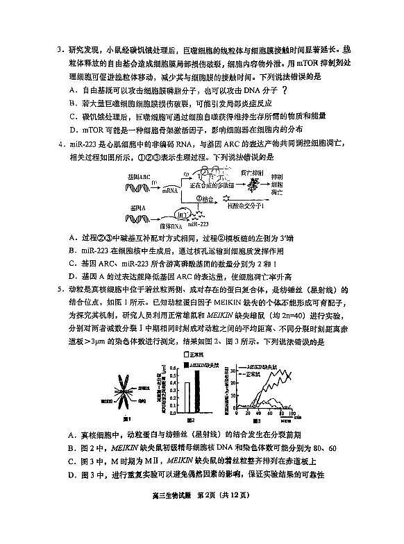 生物-山东省青岛市2025-2026学年度第一学期高三年级期末试卷及答案第2页