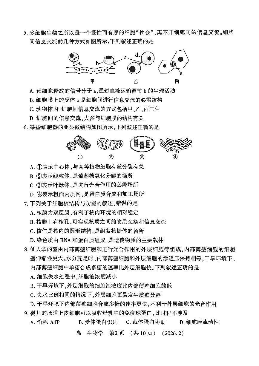 河南省洛阳市2025-2026学年上学期期末高一生物试卷及答案第2页