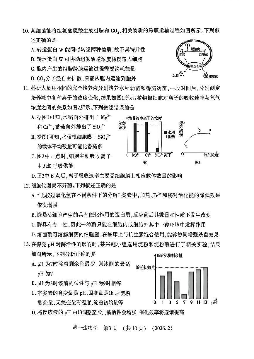 河南省洛阳市2025-2026学年上学期期末高一生物试卷及答案第3页