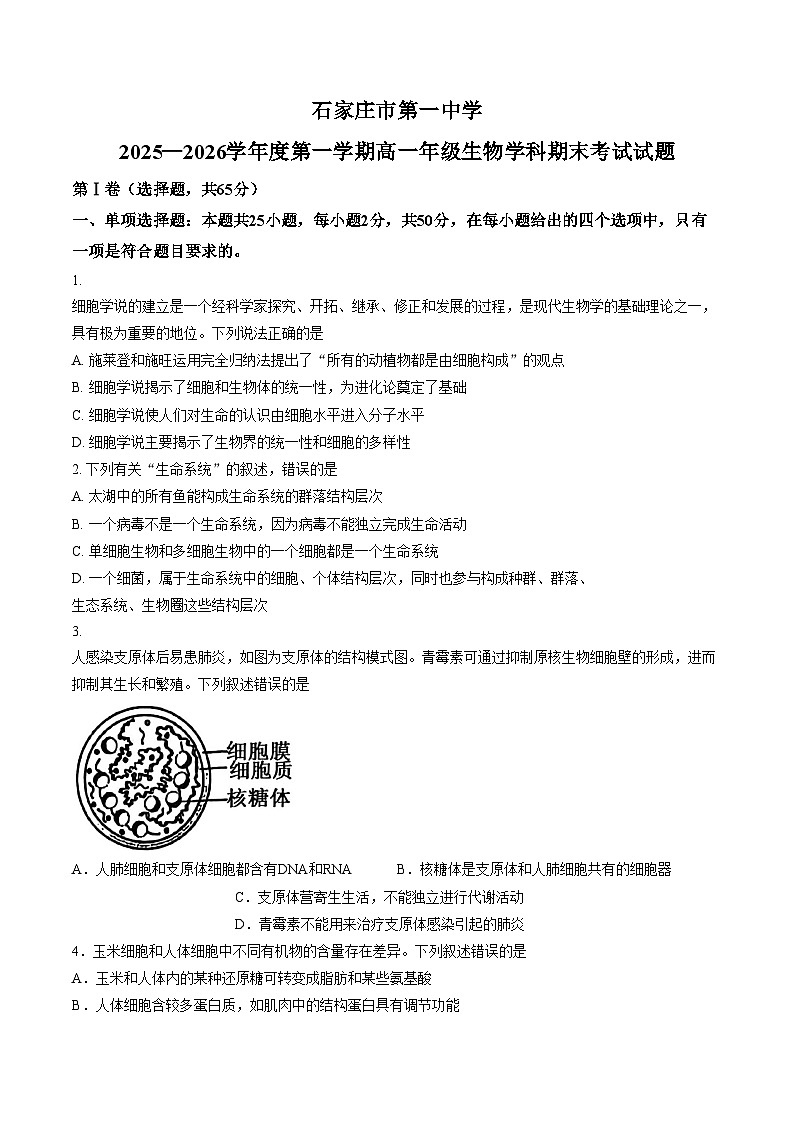 河北石家庄市长安区石家庄市第一中学2025一2026学年度第一学期高一年级生物学科期末考试试题（文字版，含答案）第1页