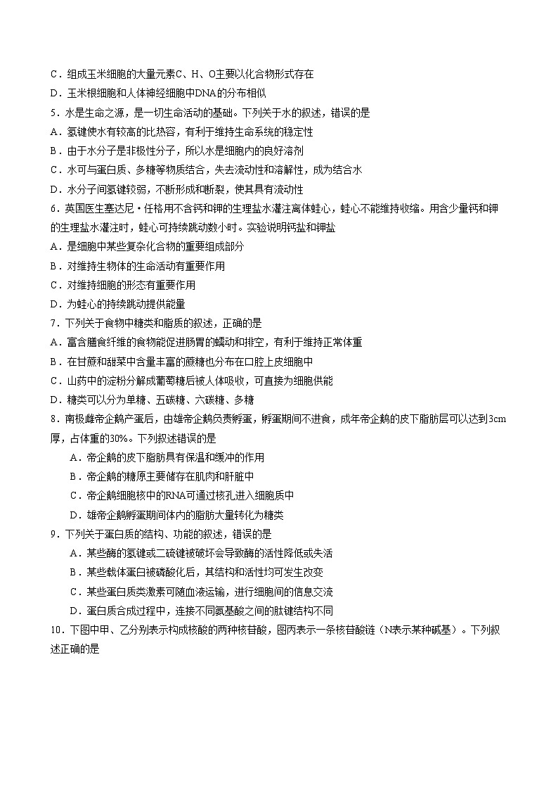 河北石家庄市长安区石家庄市第一中学2025一2026学年度第一学期高一年级生物学科期末考试试题（文字版，含答案）第2页