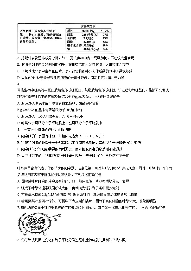 山东聊城市2025_2026学年度第一学期期末教学质量抽测高一生物试题（文字版，含答案）第2页