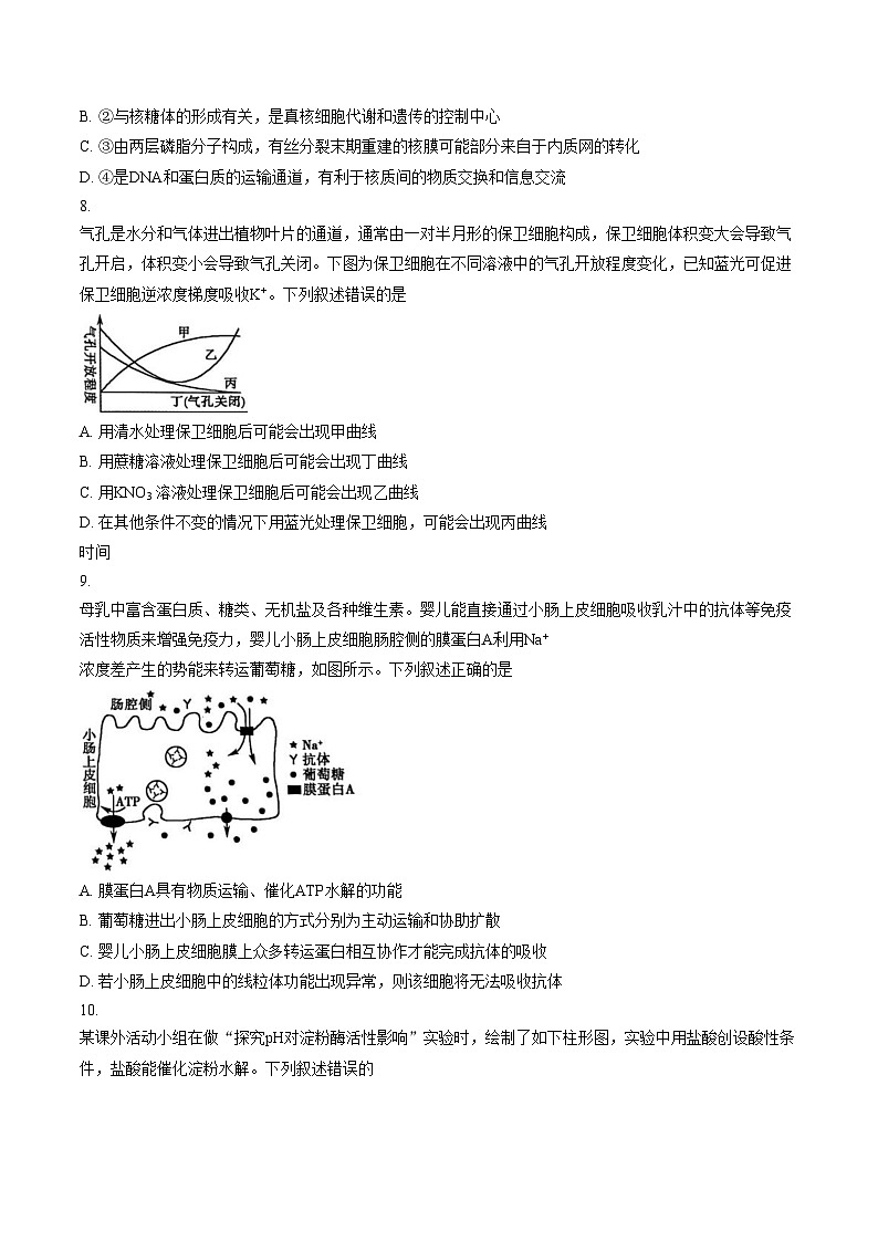 山东聊城市2025_2026学年度第一学期期末教学质量抽测高一生物试题（文字版，含答案）第3页